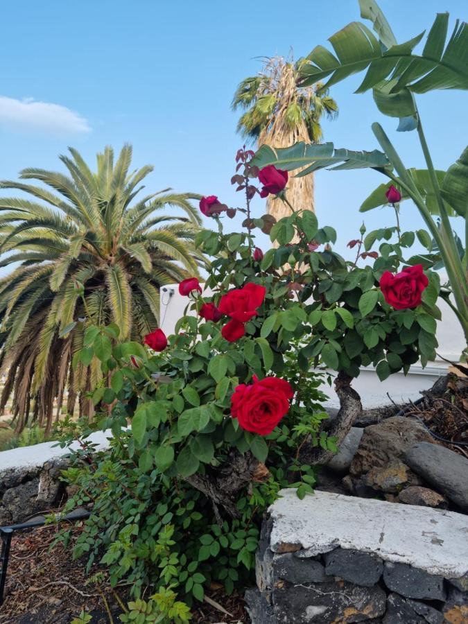 Rural Jardines La Quinta Villa El Paso Eksteriør bilde